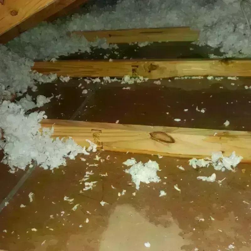 Attic Water Damage in Calloway County, KY